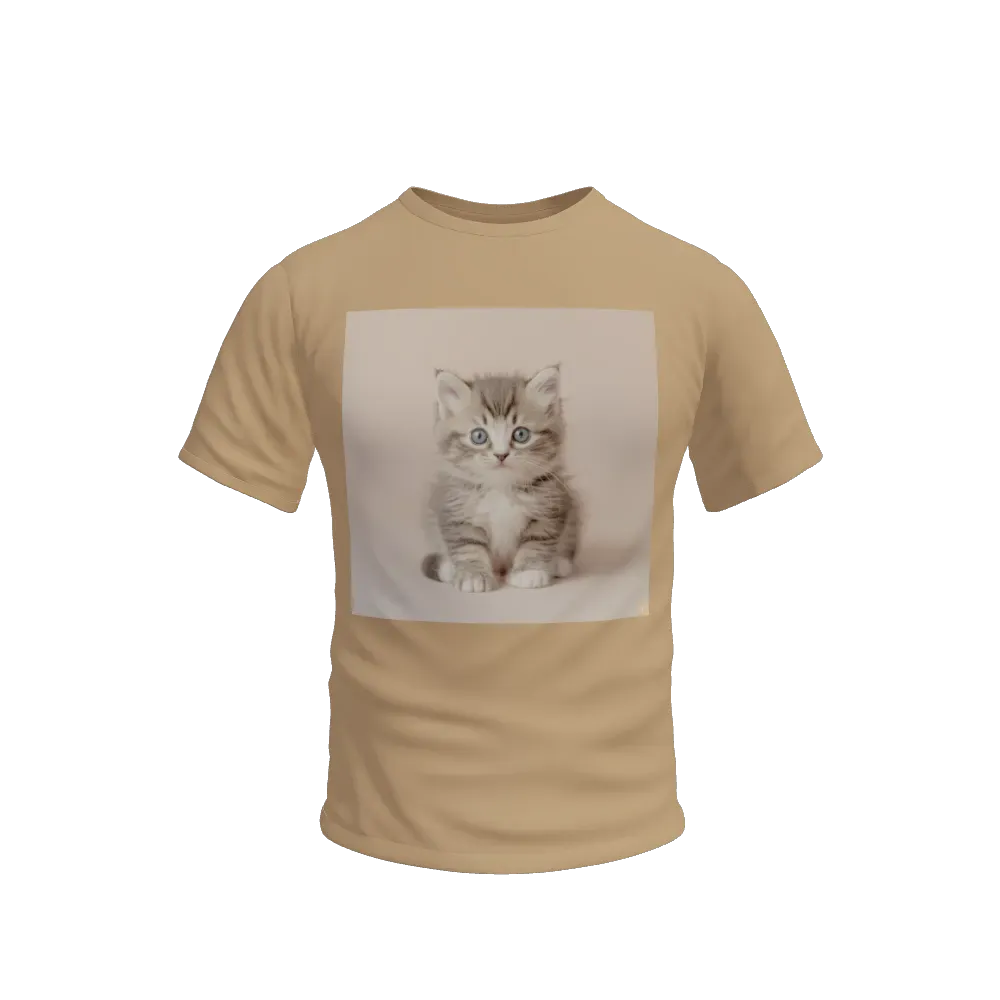 Cute kitten